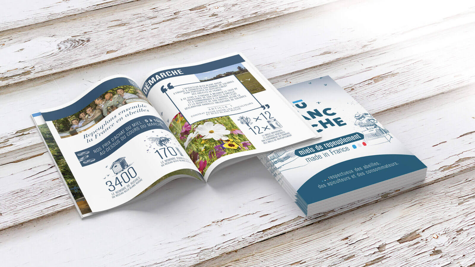 support de communication brochure Bleu Blanc Ruche