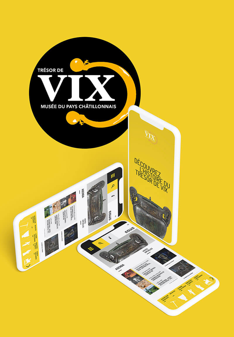 Logo Musée de Vix