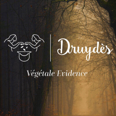 campagne d'affichage de la marque druydes