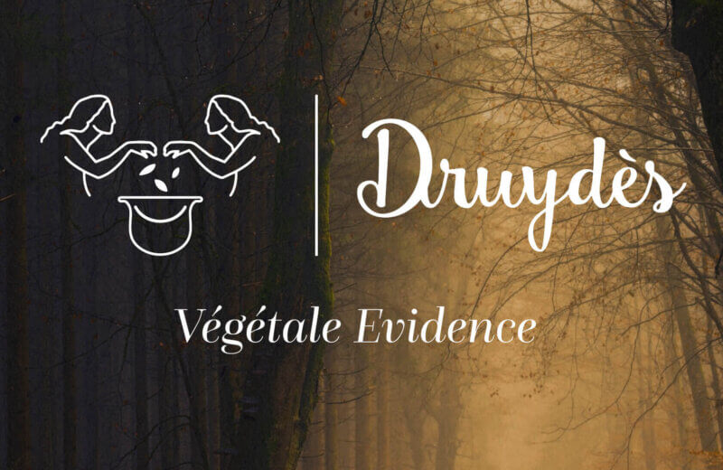 campagne d'affichage de la marque druydes