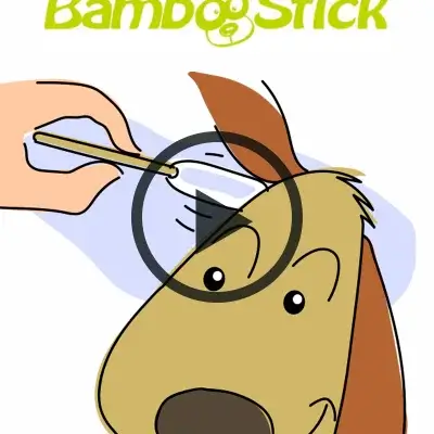 réalisation d'une vidéo produit pour la marque Bamboostick