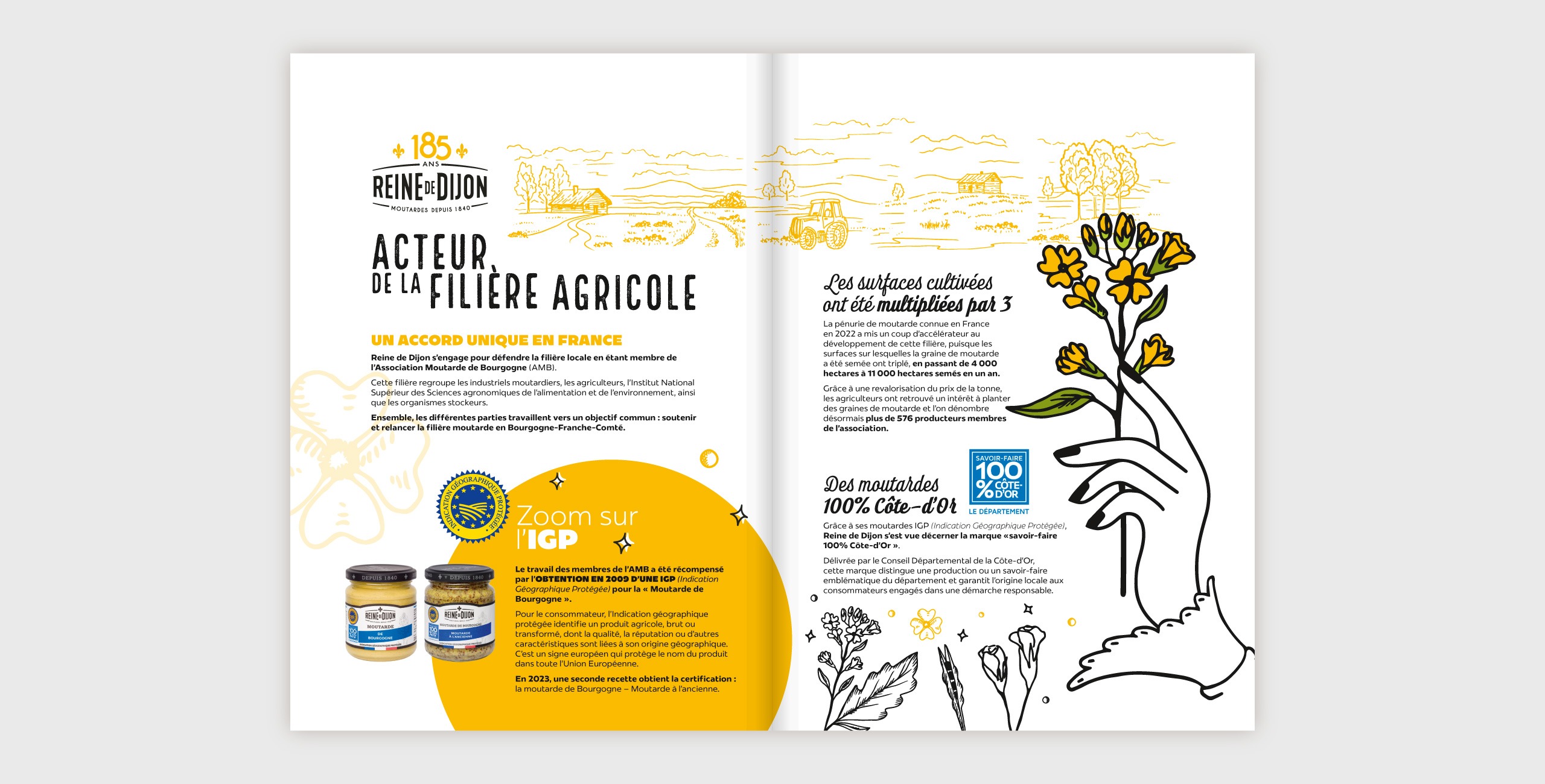 univers graphique campagne multicanale