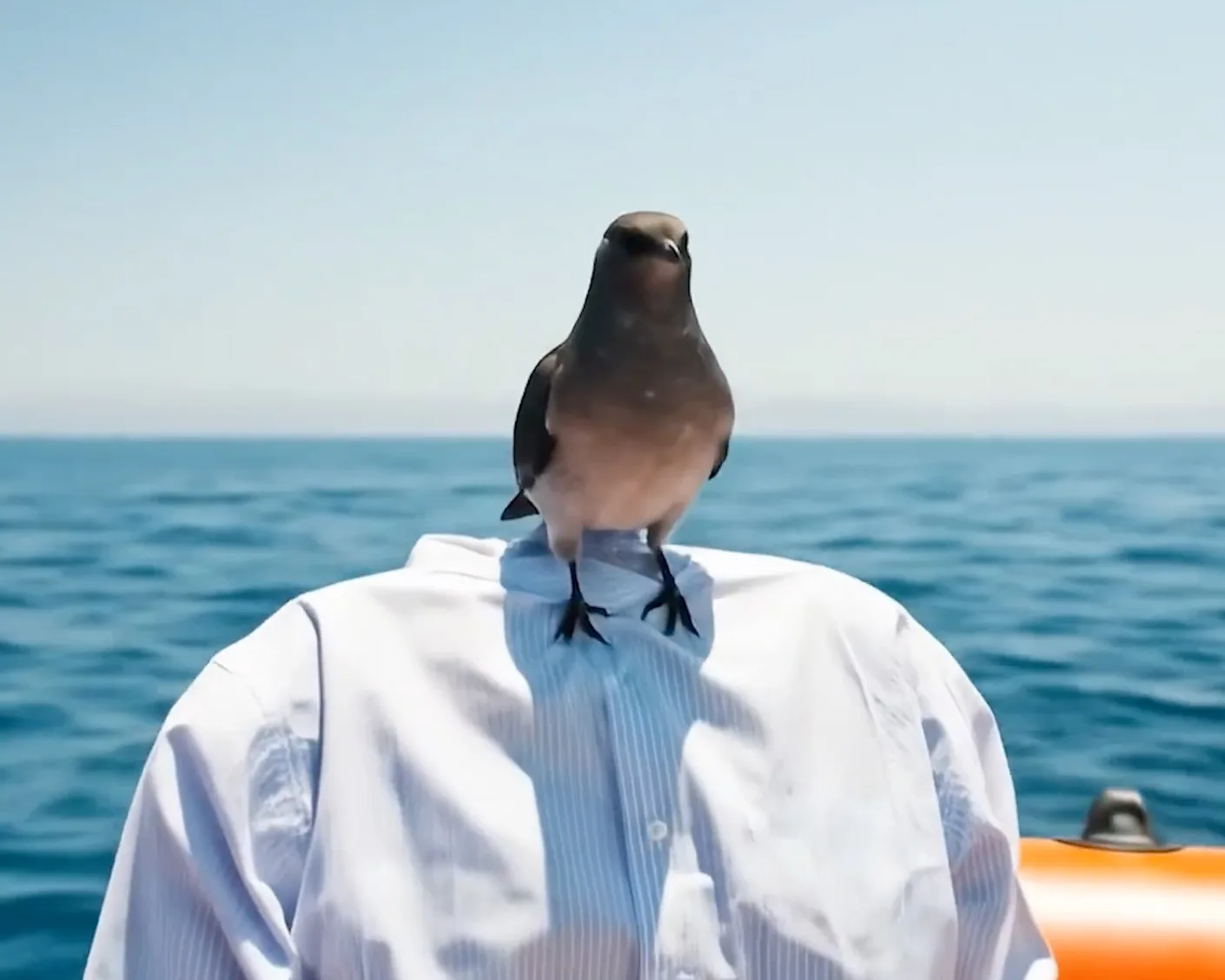 Les dessous de la création d’un film généré par IA (et pourquoi il faut encore des humains… vraiment)